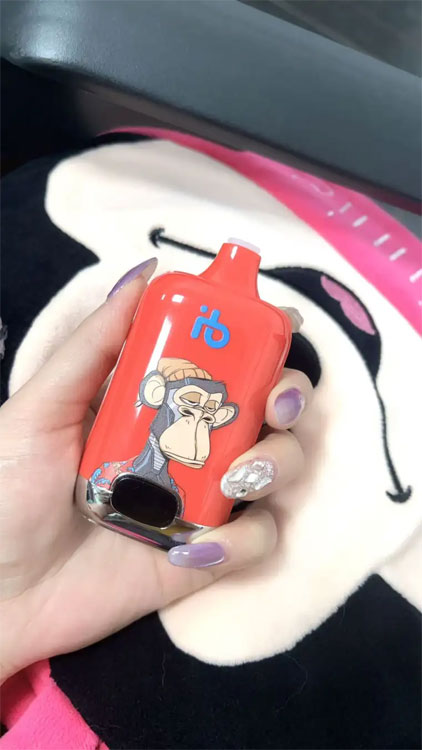 IBVAPE Cigarette Phone Charger Review and Buying Guide for Fast Portable Power on the Road with IBVAPE Tips