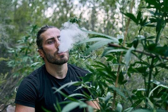 Vape Shop Essentials, fresh e-cigarettes articles, reviews and practical buying tips for new vapers